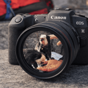 Matériel de prise de photographie et de tournage vidéo.