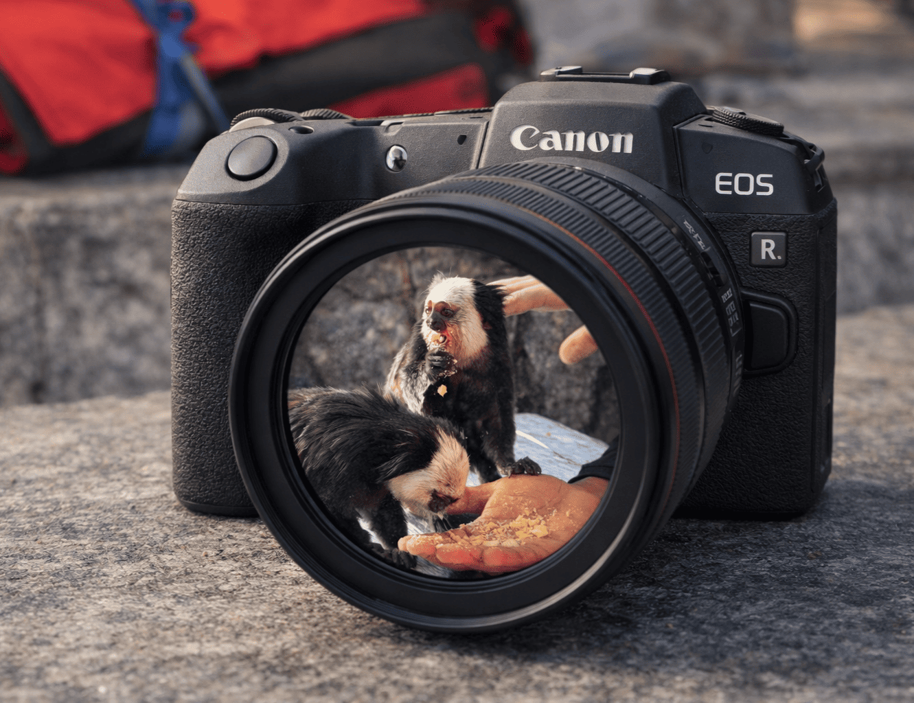 Matériel de prise de photographie et de tournage vidéo.